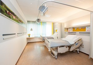 Picture Hanging Systems